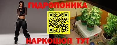 прущие крисы Новокубанск